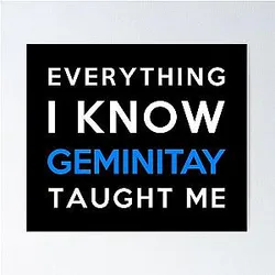 Everything I Know - GeminiTay Poster
