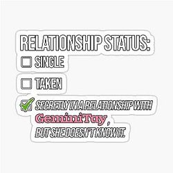 Relationship with Gemini Tay Sticker