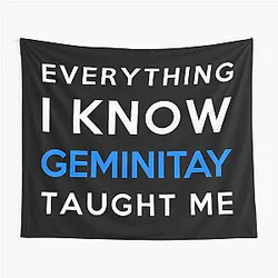 Everything I Know - GeminiTay Tapestry