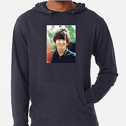 George Harrison had a successful solo career George Harrison Hoodies