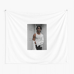 Screen Heartthrob Georgie Farmer Tapestries