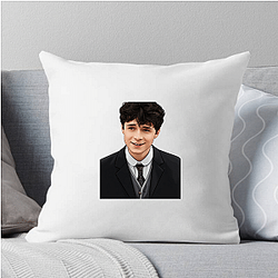 Gilbert Blythe Rival Intellectual spark Gilbert Blythe Pillows Cover