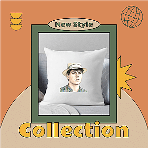 Gilbert Blythe Pillows Cover