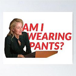 Gillian Anderson Am I Wearing Pants? Poster