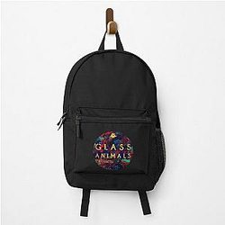 Glass Backpack