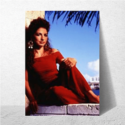 Gloria Estefan is a Cuban-American singer Gloria Estefan Posters