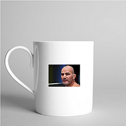Octagon Warrior Glover Teixeira Mugs