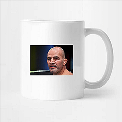 Octagon Warrior Glover Teixeira Mugs