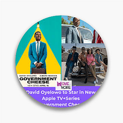 Government Cheese Themed Apparel Government Cheese Pins