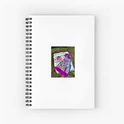 Gracie's Corner No Limits Just Songs Gracie's Corner Notebook
