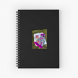 Gracie's Corner No Limits Just Songs Gracie's Corner Notebook