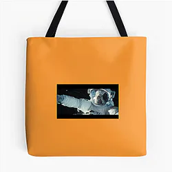 Gravity A True Masterpiece Gravity Bags