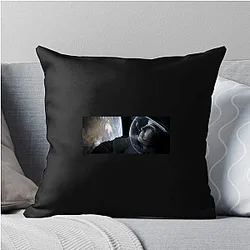 Gravity The King of The Space Gravity Pillows Cover