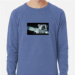 Gravity A True Masterpiece Gravity Sweatshirts