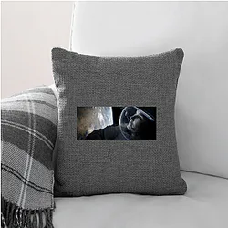 Gravity The King of The Space Gravity Pillows Cover