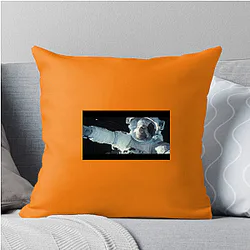 Gravity A True Masterpiece Gravity Pillows Cover