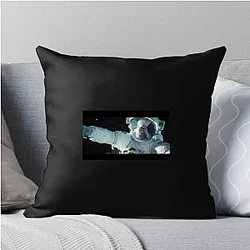 Gravity A True Masterpiece Gravity Pillows Cover