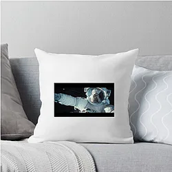 Gravity A True Masterpiece Gravity Pillows Cover
