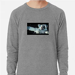 Gravity A True Masterpiece Gravity Sweatshirts