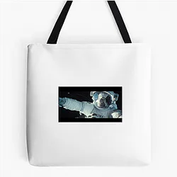 Gravity A True Masterpiece Gravity Bags