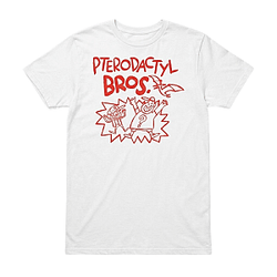 Pterodactyl Bros DTNK1304 Gravity Falls T-Shirts