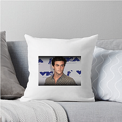 Grayson Dolan Special Collection Grayson Dolan Pillows Cover