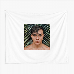 Grayson Dolan Merchandise For Fans Grayson Dolan Tapestries