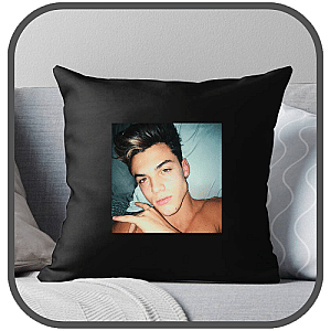 Grayson Dolan Pillows Cover