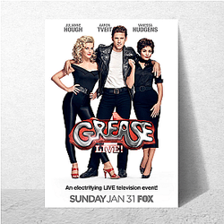 Grease Rise of the Pink Ladies No Limits Just Friendship Grease Rise Of The Pink Ladies Posters