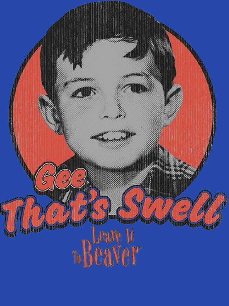 Leave It To Beaver Official Store: TV Fans' Secret Finds