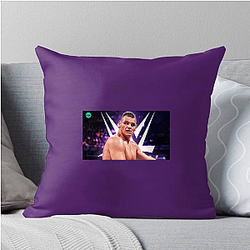 Austrian Power Gunther Pillows Cover
