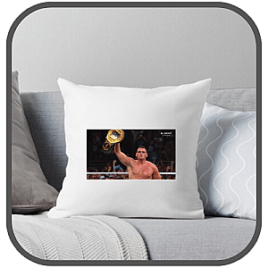 Gunther Pillows Cover