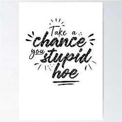 Gwen Stefani Lyric Quote "Take a Chance You Stupid Hoe" Poster