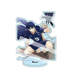 Haikyuu Figure Merch - 13cm Kageyama Tobio Figure Acrylic Standee Color Figure