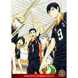 Haikyuu Poster Merch -  Team Karasuno