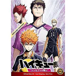 Haikyuu Poster Merch -  SS3