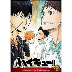Haikyuu Poster Merch -  Rivalry