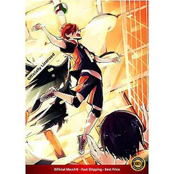 Haikyuu Poster Merch -  Hinata Spiking Poster