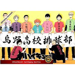 Haikyuu Poster Merch -  Karusuno Volleyball Team