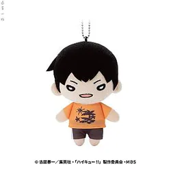 Haikyuu Plush - 16CM Stuffed Anime Gift For Children