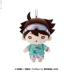 Haikyuu Plush - 16CM Stuffed Anime Gift For Children