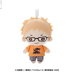 Haikyuu Plush - 16CM Stuffed Anime Gift For Children
