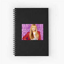Hannah Montana's plot is about a girl with a double life Hannah Montana Notebook