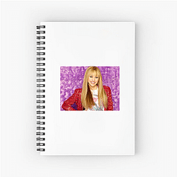 Hannah Montana's plot is about a girl with a double life Hannah Montana Notebook