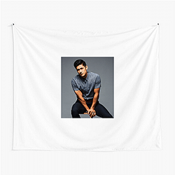 Breakout Star Harry Shum Jr Tapestries