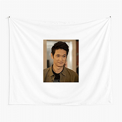 Hollywood Hunk Harry Shum Jr Tapestries