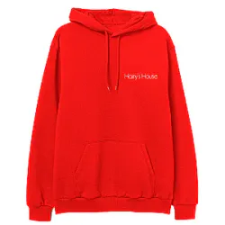 Harry Styles Hoodies - On Top Of The World Pullover Hoodie IP3011