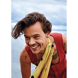 Harry Styles Posters – Yellow Towel Harry Styles Poster