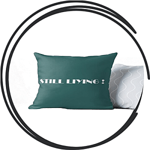 Hasan Abi Pillows Cover