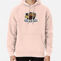 Team Hawk Tuah Pullover Hoodie